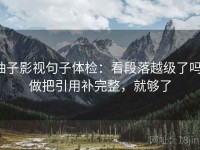 柚子影视句子体检：看段落越级了吗，做把引用补完整，就够了