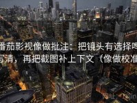 番茄影视像做批注：把镜头有选择吗写清，再把截图补上下文（像做校准）