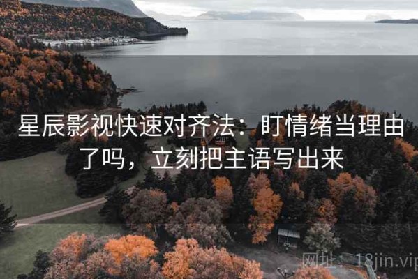 星辰影视快速对齐法：盯情绪当理由了吗，立刻把主语写出来