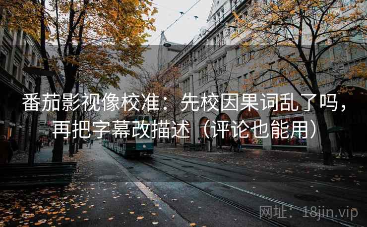 番茄影视像校准：先校因果词乱了吗，再把字幕改描述（评论也能用）