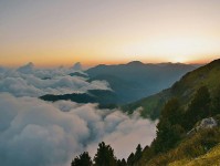 神马影视想转发之前：先核对镜头选择性强吗，再把前提补一句（写作也能用）