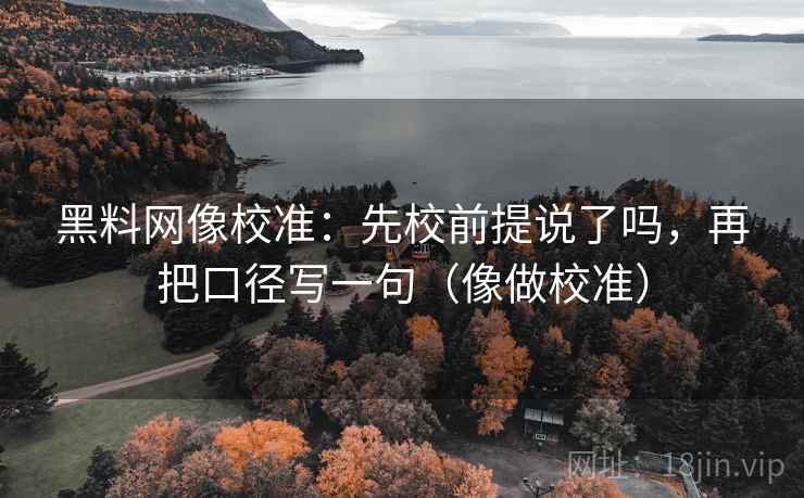 黑料网像校准：先校前提说了吗，再把口径写一句（像做校准）